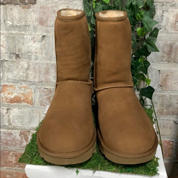 NIB UGG Classic Short Boot 2 Chestnut - Picture 4 of 7